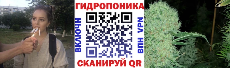 Бошки марихуана Bruce Banner Заполярный
